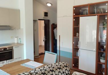 Wohnung in Prschno
