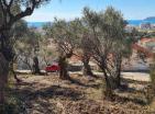 Schönes Grundstück in Bar 620 m2 mit Panoramablick auf das Meer und Olivenbäumen