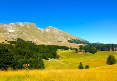 Großes Grundstück 22000 in Zabljak für den Bau von Öko-Dorf