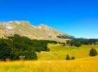 Großes Grundstück 22000 in Zabljak für den Bau von Öko-Dorf