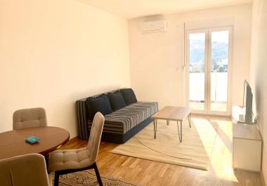 Wohnung in Podgorica