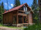 Legalisiertes Haus in Zabljak mit Kamin, umgeben von Nadelwald