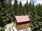 Legalisiertes Haus in Zabljak mit Kamin, umgeben von Nadelwald