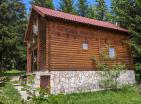 Legalisiertes Haus in Zabljak mit Kamin, umgeben von Nadelwald