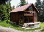 Legalisiertes Haus in Zabljak mit Kamin, umgeben von Nadelwald