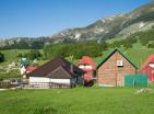 Charmantes Ferienhaus in Žabljak mit atemberaubendem Bergblick