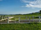 Baugrundstück in Žabljak mit Baugenehmigung in malerischer Lage