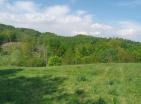 Großes sonniges Grundstück in Kolašin 73000 m2 mit Panoramablick für Investitionen