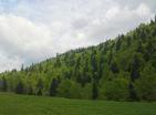 Großes sonniges Grundstück in Kolašin 73000 m2 mit Panoramablick für Investitionen