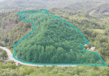 Großes sonniges Grundstück in Kolashin 73000 m2 mit Panoramablick für Investitionen