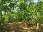 Großes sonniges Grundstück in Kolašin 73000 m2 mit Panoramablick für Investitionen