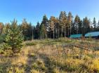 Abgeschiedenes 578 m2 großes Grundstück im malerischen Kiefernwald, Zabljak