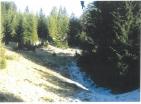 Exklusives Bergland für Jagdfarm 19720 m inmitten unberührter Durmitor-Natur