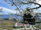 Luxuriöse Villa mit riesigem Weinberg und Pool neben Virpazar, Montenegro