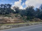 Luxuriöses 919 m2 großes Grundstück in Đenovići in der Nähe des Meeres