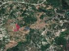 164 000 m2 Land in Grahovo für Öko-Retreat oder Landwirtschaft