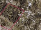 164 000 m2 Land in Grahovo für Öko-Retreat oder Landwirtschaft